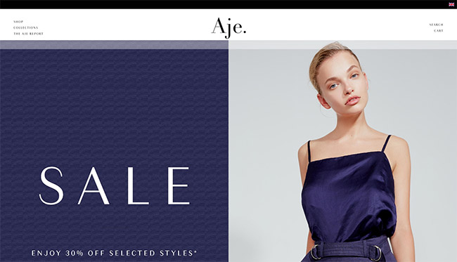 shopify store: aje